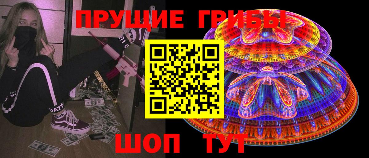 Псилоцибиновые грибы Psilocybine cubensis Кировск